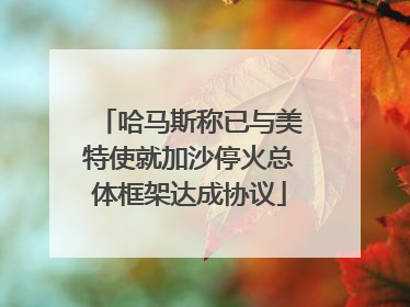 哈马斯称已与美特使就加沙停火总体框架达成协议