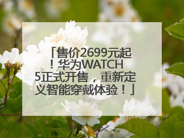 售价2699元起！华为WATCH 5正式开售，重新定义智能穿戴体验！