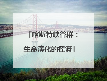 喀斯特峡谷群：生命演化的摇篮