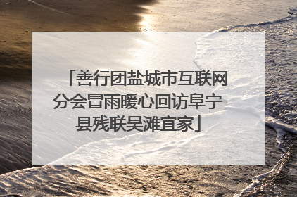 善行团盐城市互联网分会冒雨暖心回访阜宁县残联吴滩宜家