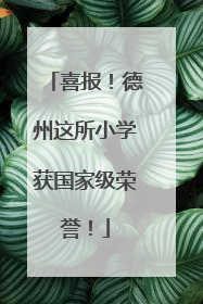 喜报！德州这所小学获国家级荣誉！