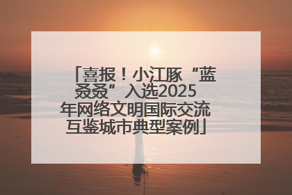 喜报！小江豚“蓝叒叒”入选2025年网络文明国际交流互鉴城市典型案例