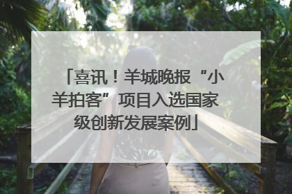 喜讯！羊城晚报“小羊拍客”项目入选国家级创新发展案例
