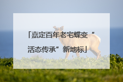 嘉定百年老宅蝶变“活态传承”新地标