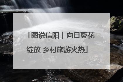 图说信阳｜向日葵花绽放 乡村旅游火热