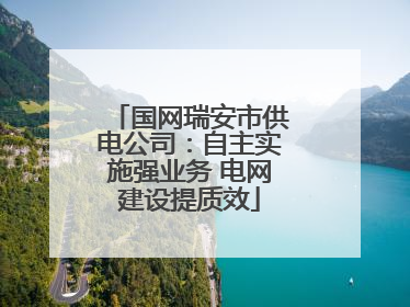 国网瑞安市供电公司：自主实施强业务 电网建设提质效