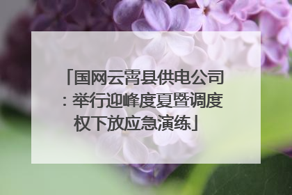 国网云霄县供电公司：举行迎峰度夏暨调度权下放应急演练