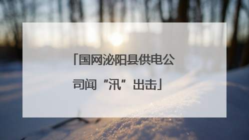 国网泌阳县供电公司闻“汛”出击