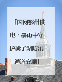 国网鄂州供电：暴雨中守护梁子湖防汛通道安澜