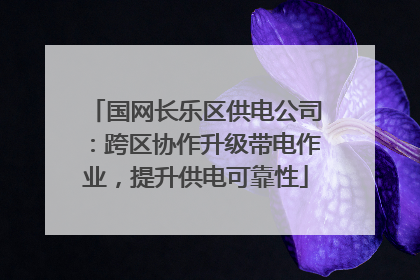 国网长乐区供电公司：跨区协作升级带电作业，提升供电可靠性