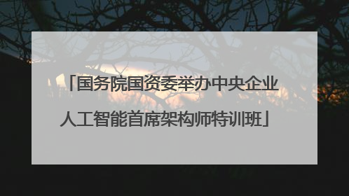 国务院国资委举办中央企业人工智能首席架构师特训班