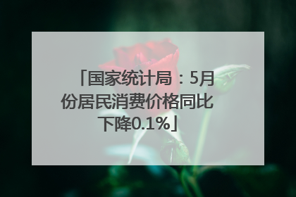 国家统计局：5月份居民消费价格同比下降0.1%