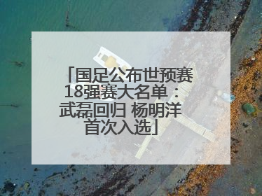 国足公布世预赛18强赛大名单：武磊回归 杨明洋首次入选