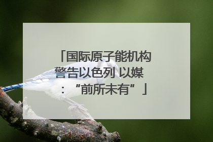 国际原子能机构警告以色列 以媒：“前所未有”