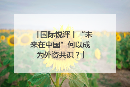 国际锐评丨“未来在中国”何以成为外资共识？