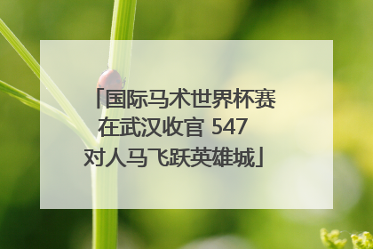 国际马术世界杯赛在武汉收官 547对人马飞跃英雄城