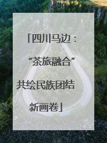 四川马边：“茶旅融合”共绘民族团结新画卷