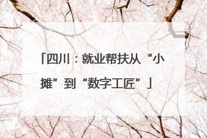 四川：就业帮扶从“小摊”到“数字工匠”