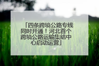 四条跨境公路专线同时开通！河北首个跨境公路运输集结中心启动运营