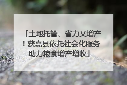 土地托管、省力又增产！获嘉县依托社会化服务助力粮食增产增收