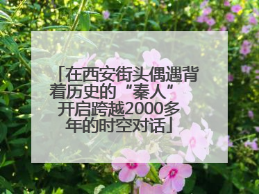 在西安街头偶遇背着历史的“秦人” 开启跨越2000多年的时空对话