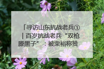寻访山东抗战老兵①｜百岁抗战老兵“双枪滕黑子”：被粟裕称赞的“孤胆英雄”