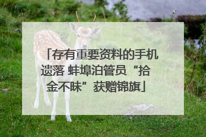 存有重要资料的手机遗落 蚌埠泊管员“拾金不昧”获赠锦旗
