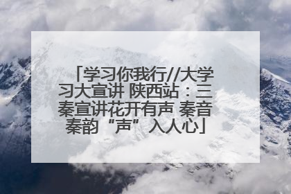学习你我行//大学习大宣讲 陕西站：三秦宣讲花开有声 秦音秦韵“声”入人心