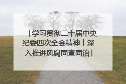 学习贯彻二十届中央纪委四次全会精神丨深入推进风腐同查同治