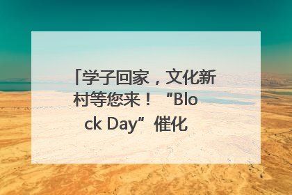 学子回家，文化新村等您来！“Block Day”催化学院式街区新生态