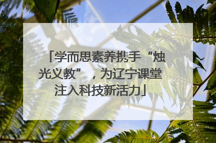 学而思素养携手“烛光义教”，为辽宁课堂注入科技新活力