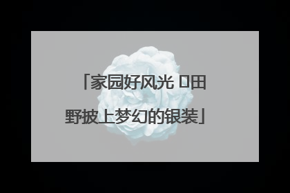 家园好风光 ⎮田野披上梦幻的银装