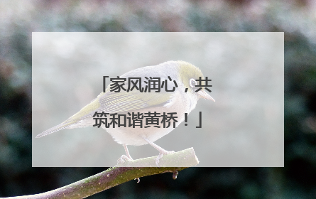 家风润心，共筑和谐黄桥！