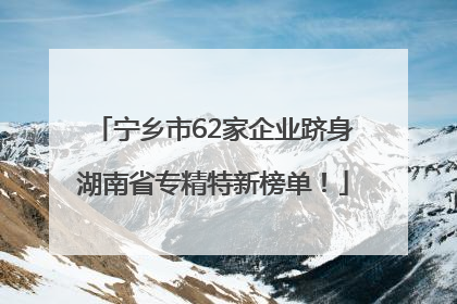 宁乡市62家企业跻身湖南省专精特新榜单！