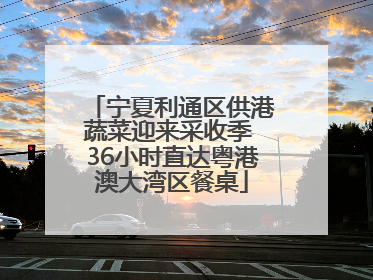 宁夏利通区供港蔬菜迎来采收季 36小时直达粤港澳大湾区餐桌