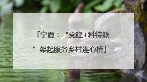 宁夏：“党建+科特派”架起服务乡村连心桥