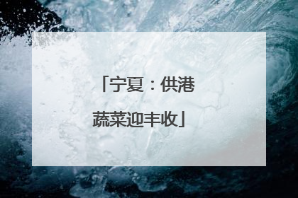 宁夏：供港蔬菜迎丰收