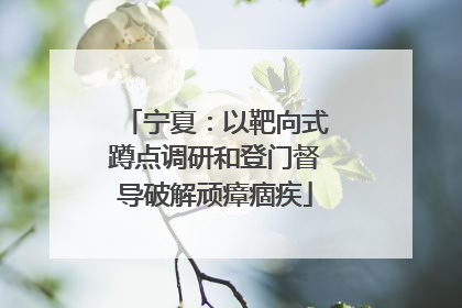 宁夏：以靶向式蹲点调研和登门督导破解顽瘴痼疾