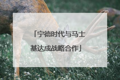 宁德时代与马士基达成战略合作