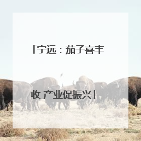 宁远：茄子喜丰收 产业促振兴
