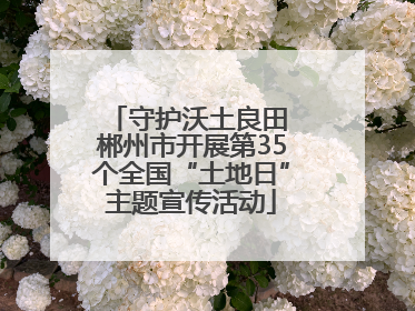 守护沃土良田 郴州市开展第35个全国“土地日”主题宣传活动