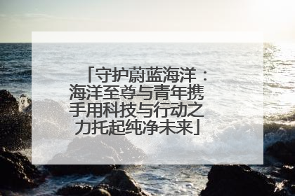 守护蔚蓝海洋：海洋至尊与青年携手用科技与行动之力托起纯净未来