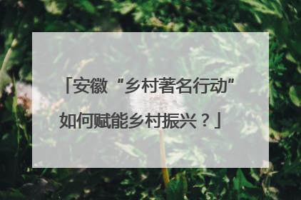 安徽“乡村著名行动”如何赋能乡村振兴？