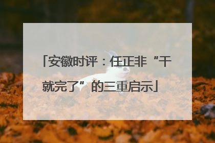 安徽时评：任正非“干就完了”的三重启示