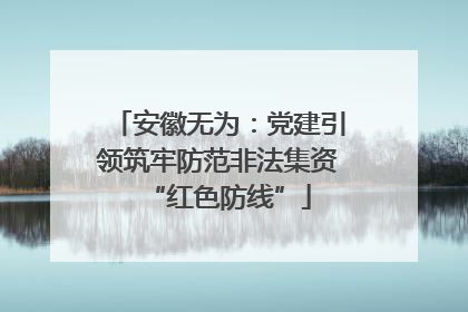 安徽无为：党建引领筑牢防范非法集资“红色防线”