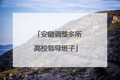 安徽调整多所高校领导班子