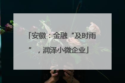 安徽：金融“及时雨”，润泽小微企业
