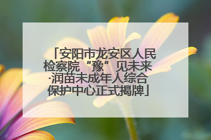 安阳市龙安区人民检察院“豫”见未来·润苗未成年人综合保护中心正式揭牌