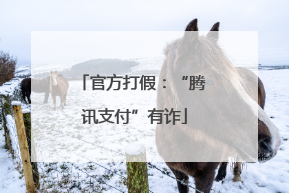 官方打假：“腾讯支付”有诈