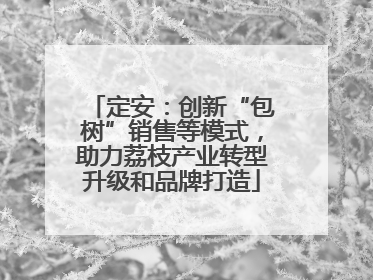 定安：创新“包树”销售等模式，助力荔枝产业转型升级和品牌打造